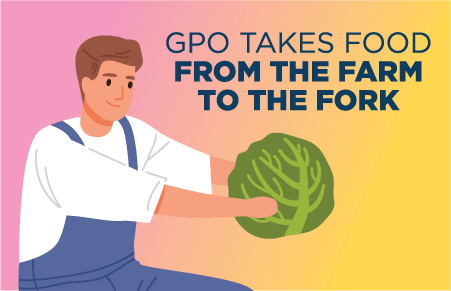 Farmer holding a cabbage