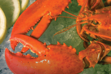 lobster on ice with lemon