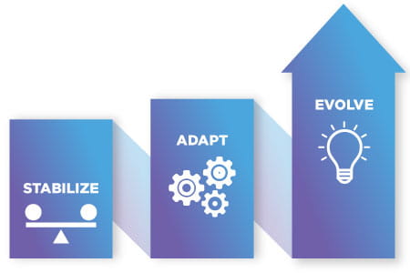 Stabilize, adapt and evolve chart increase.